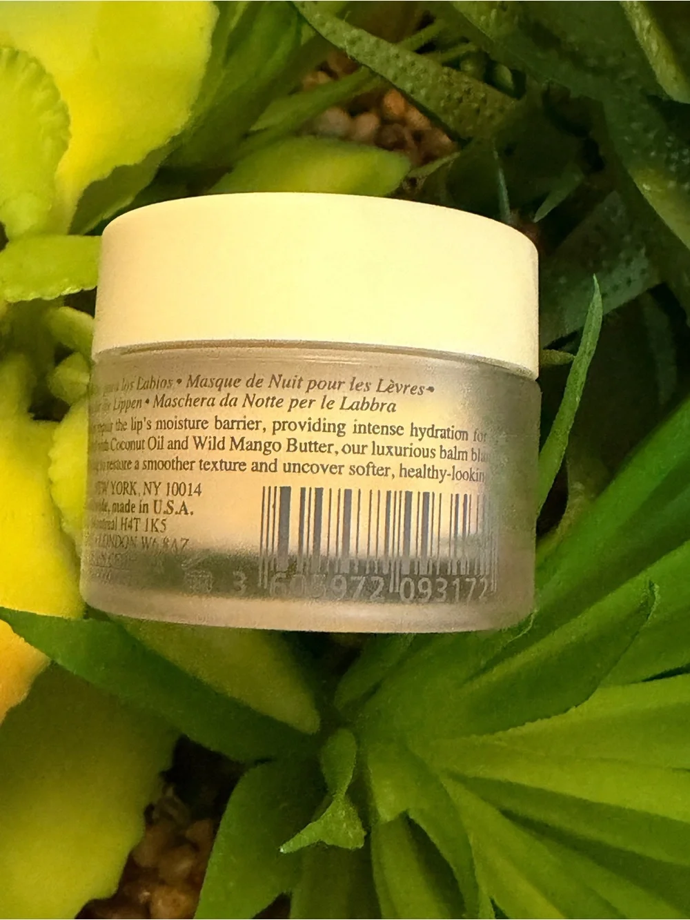 Kiehl's Buttermask-overnight lips treatment-with Coconut Oil & Wild Mango Butter